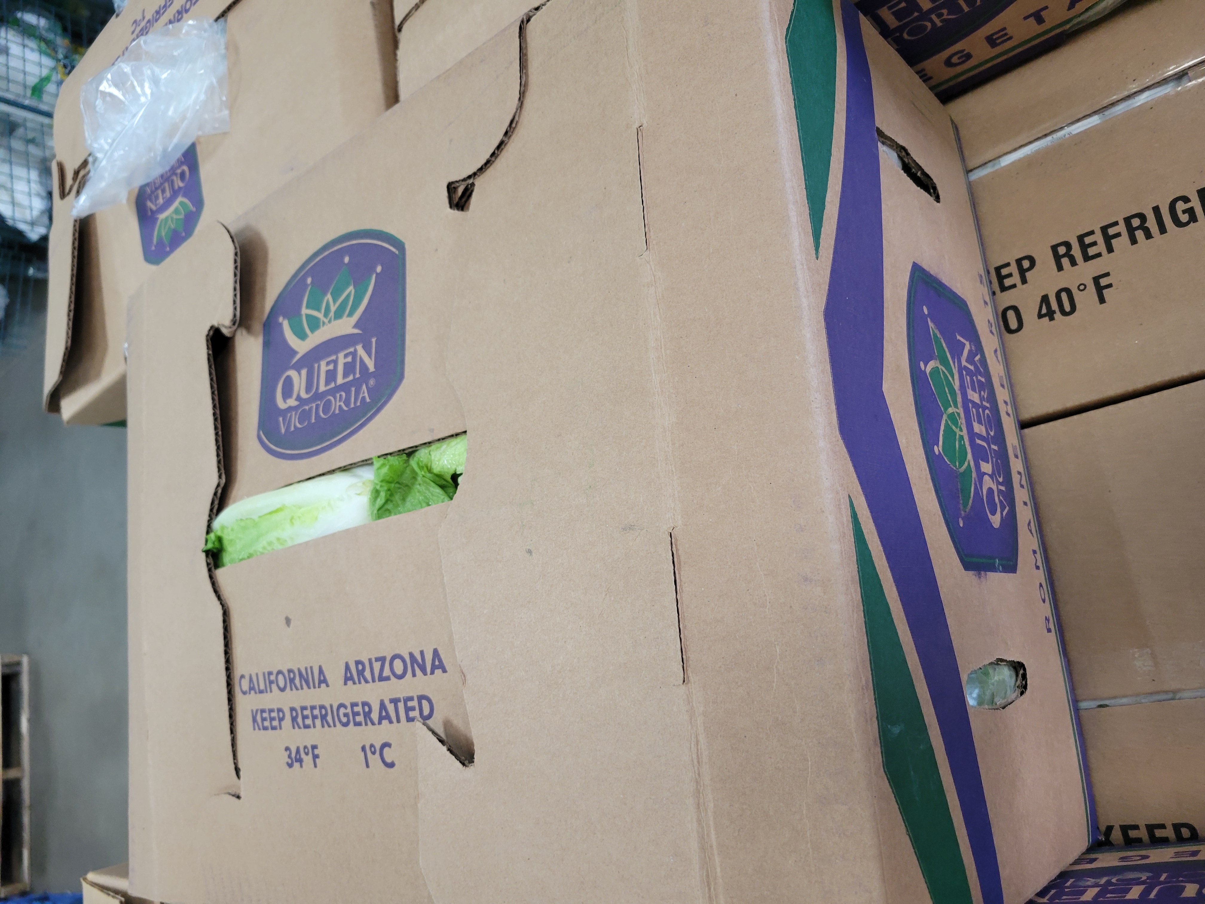 Romaine Hearts box with lettucepeeking out from the opening.